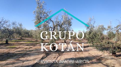 Foto 4 de Finca rústica en venda a Avenida del Rocio, 6, Huévar del Aljarafe, Sevilla