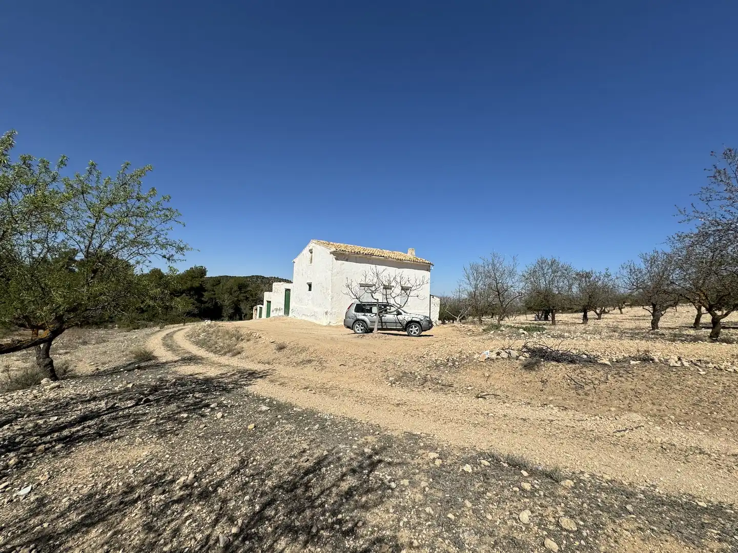 Finca rústica en venda en Villena amb Moblat