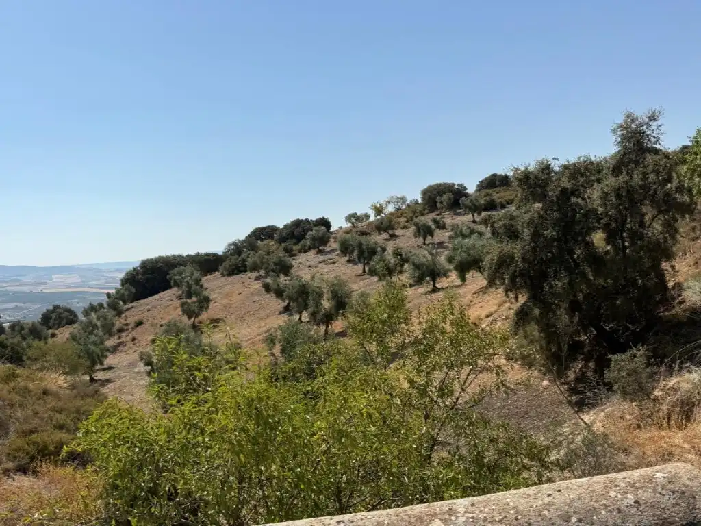 Maison à vendre à Poligono 14 Paraje 320 Rosado, imagen 11
