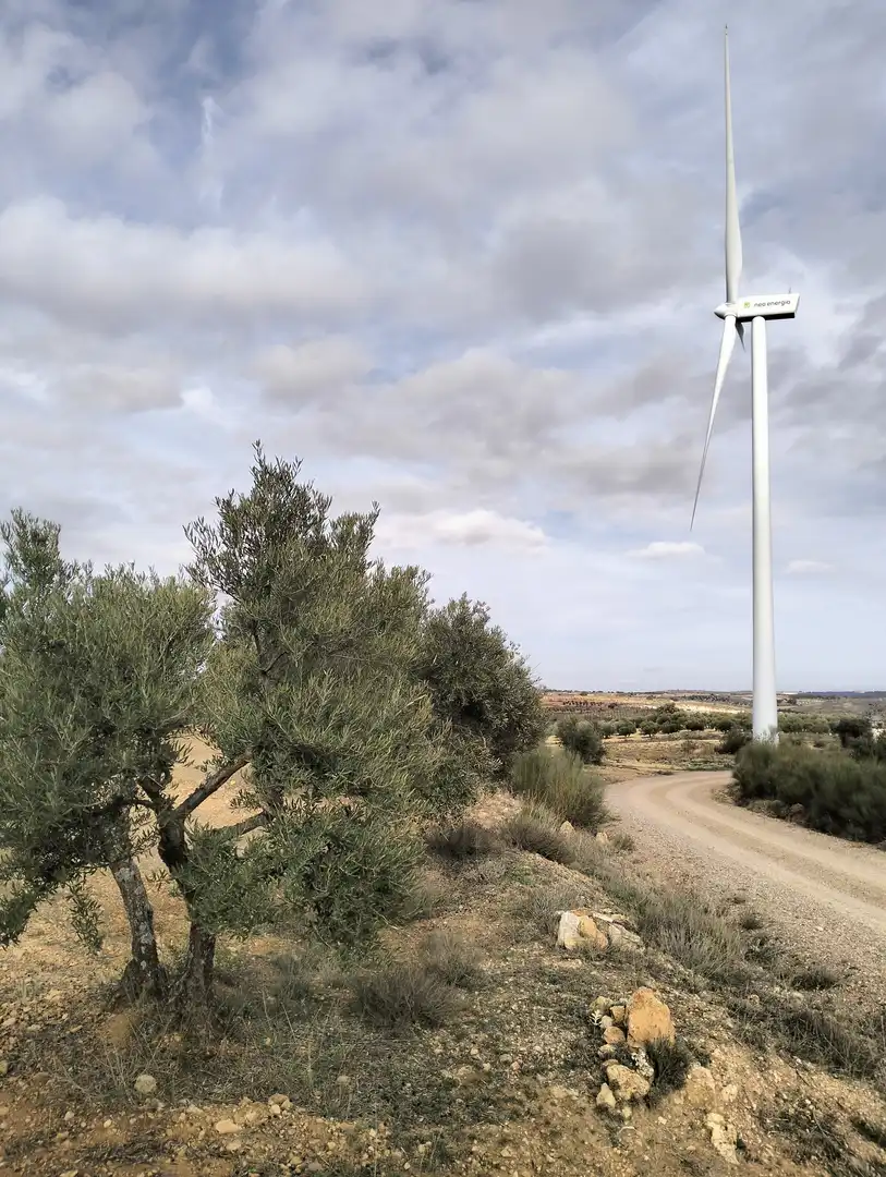 Terreno rustico in vendita a Calle Diseminado 126