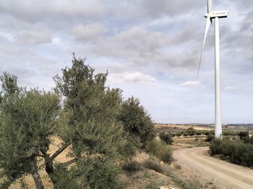 Terreno rustico in vendita a Calle Diseminado 126