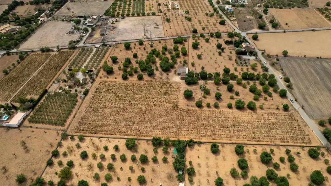 Land for sale in Consell