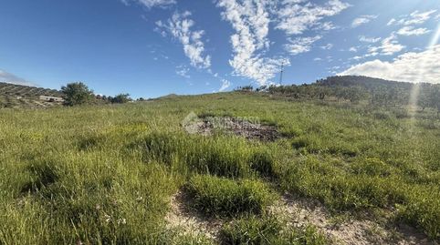 Terrenos en venta en Martos, immagine 3