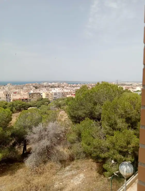 Pis amb terrassa en venda a Santa Pola ciudad, imagen 21