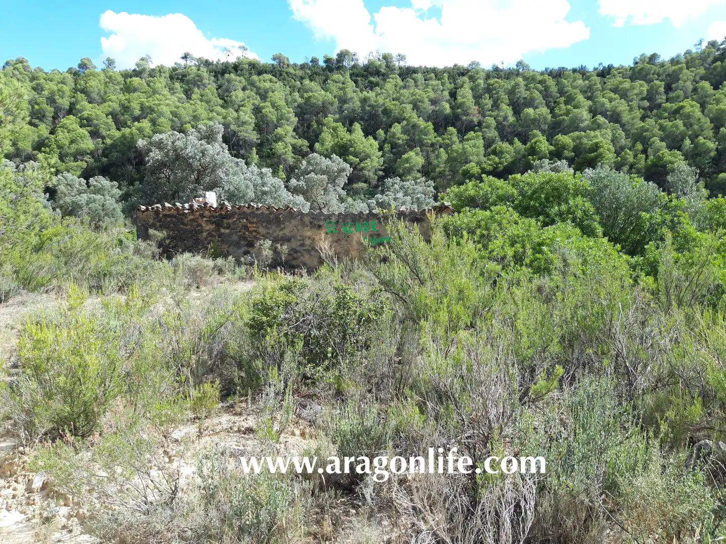 Finca rústica en venta en Fabara
