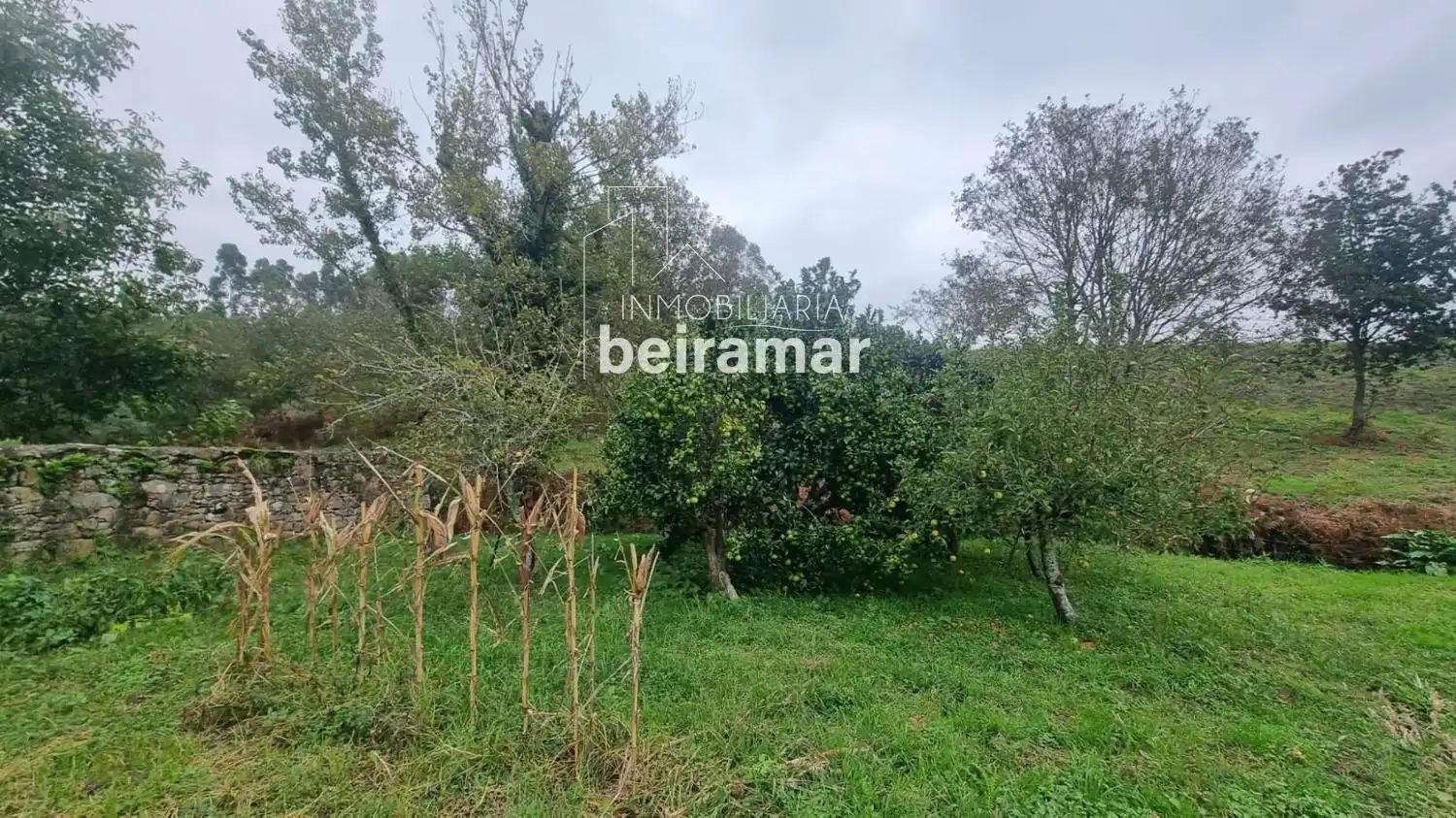 Terreni e lotti in vendita a SIRVES, imagen 17