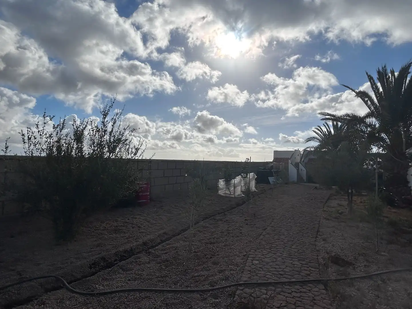 Jardí de Casa o xalet en venda en Granadilla de Abona amb Terrassa, Traster i Rentadora