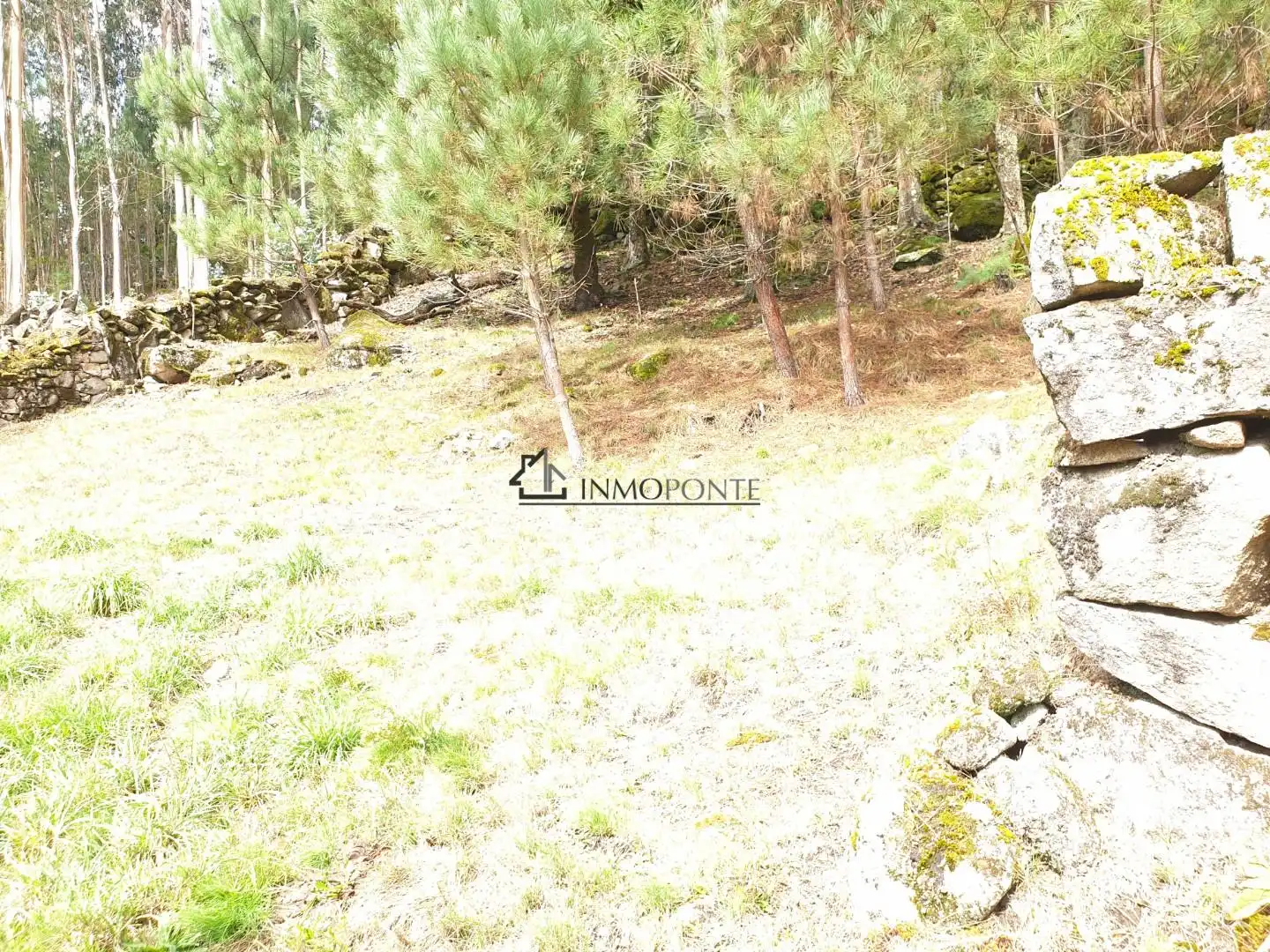 Casa o chalet en venta en Campo Lameiro con Jardín privado