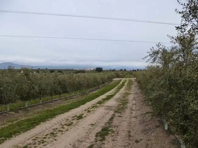 Land for sale in  Toledo Capital