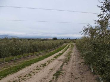 Terrain rustique à vendre à Antequeruela y Covachuelas