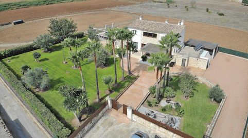 Photo 2 of Houses for rent in Muro - Cami de Son Mieres, Muro, Illes Balears
