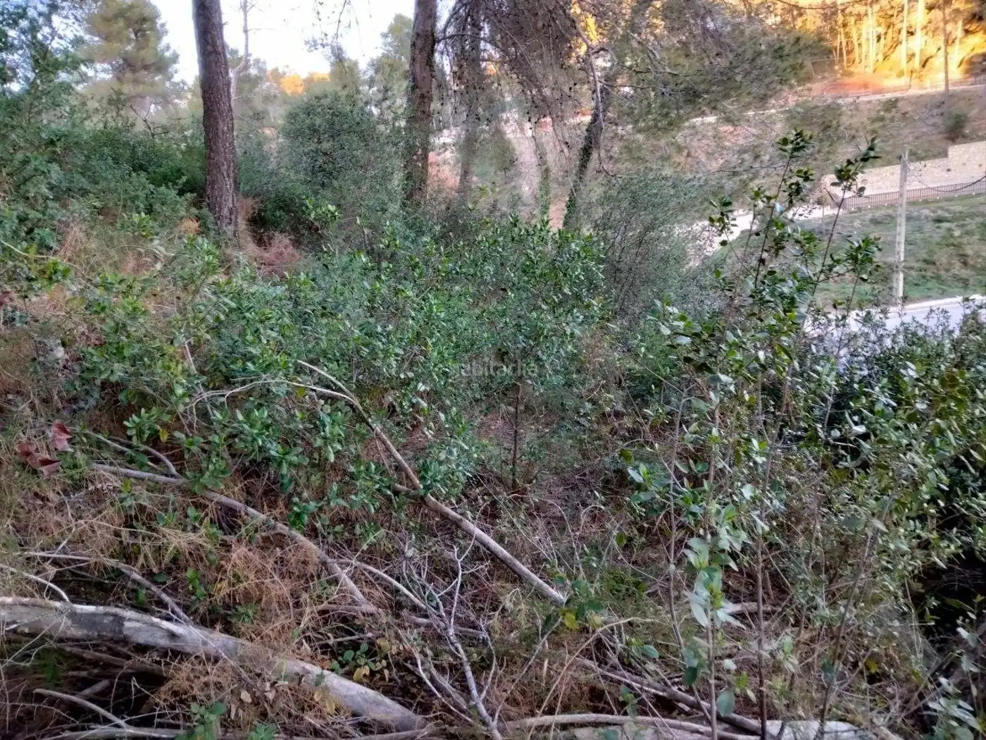 Terreno residencial en venta en Carrer del Segre 8, imagen 7