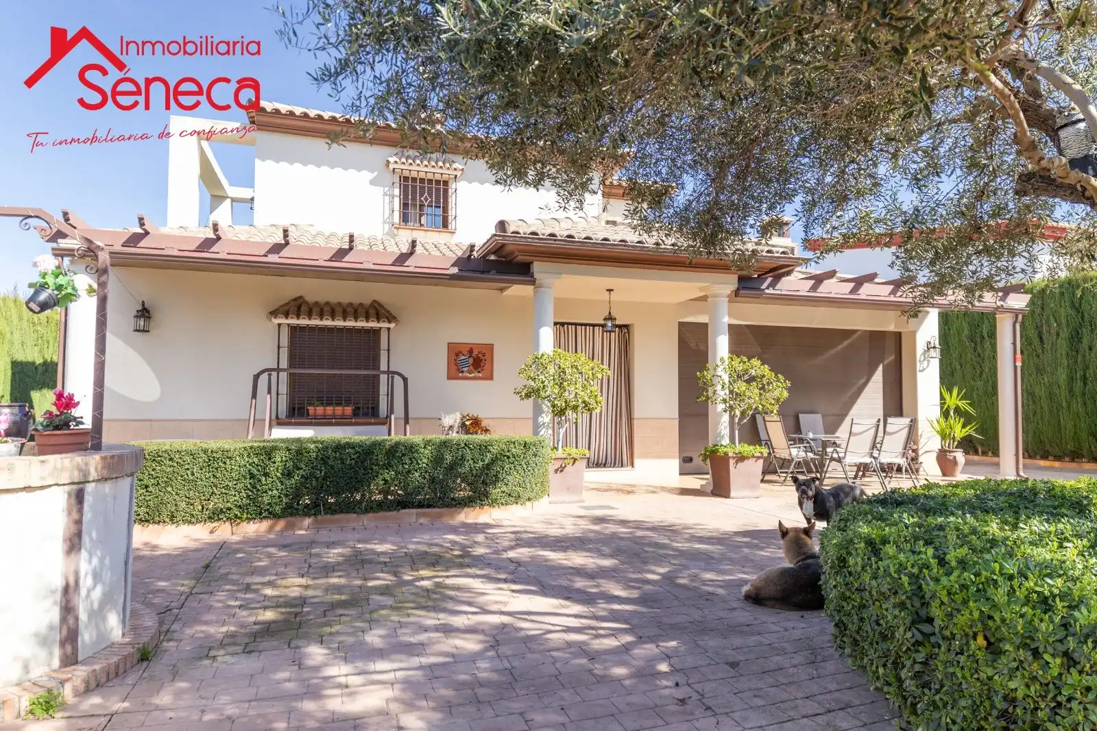 Villa mit Terrasse zum Verkauf in EL MEMBRILLAR, CASA 3 - EL RINCONCILLO, imagen 4