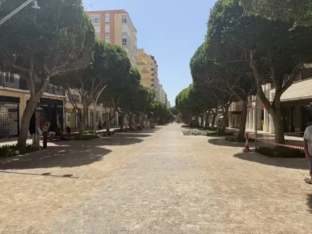 Piso con ascensor en venta en Paseo de Almería, imagen 43