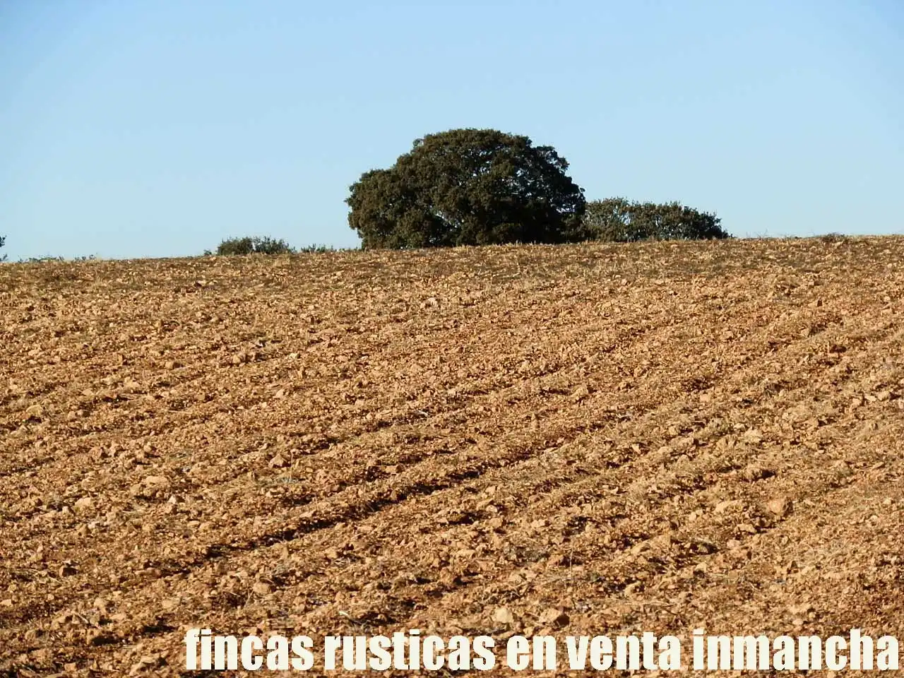 Terreni e lotti in vendita a Quintanar de la Orden, imagen 13