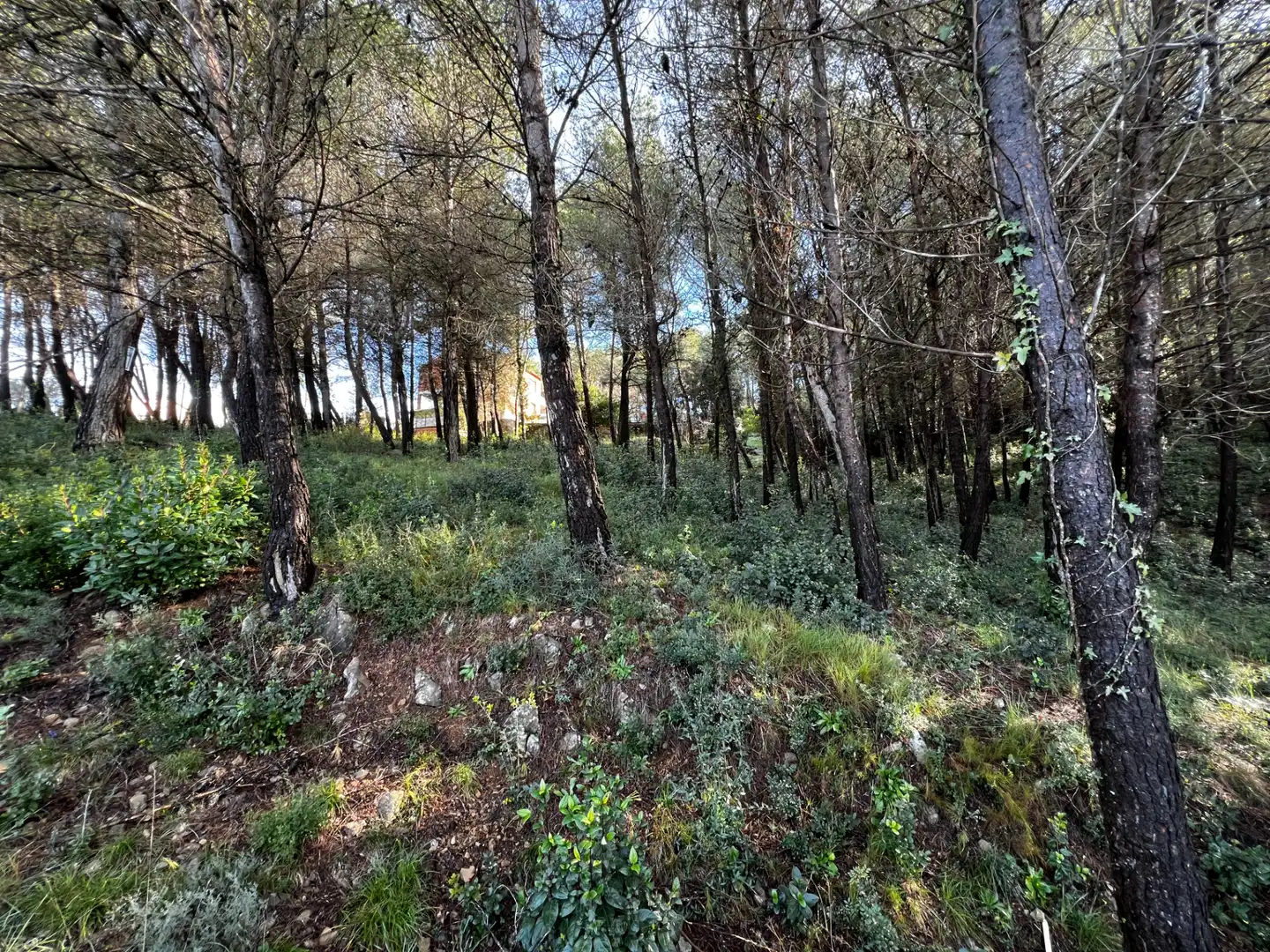 Residencial en venda en Olesa de Bonesvalls