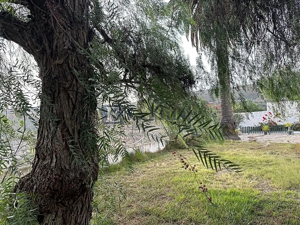 Vista exterior de Finca rústica en venta en Arico