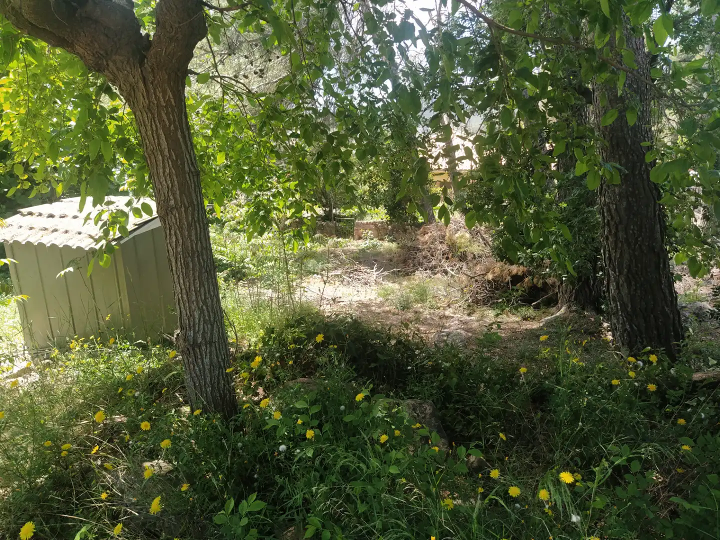 Terreny residencial en venda a Camí de la Creu de l'Aragall 1, imagen 10