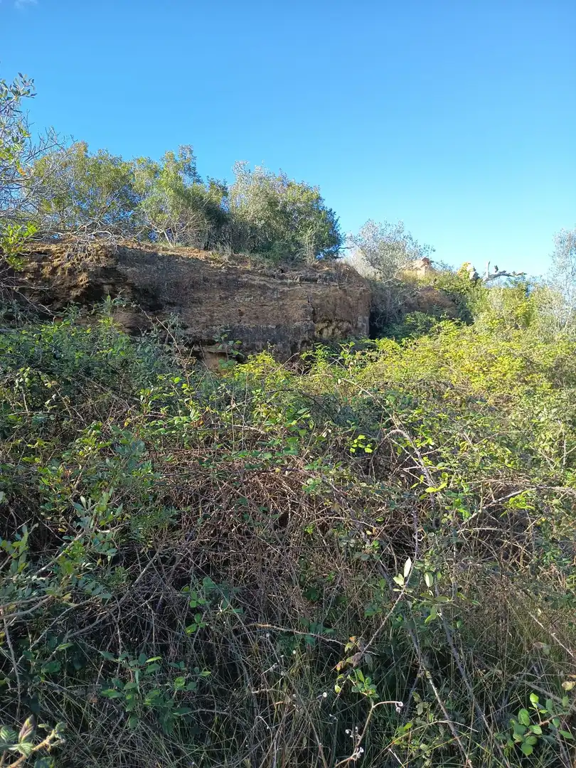 Finca rústica en venda en Ulldecona