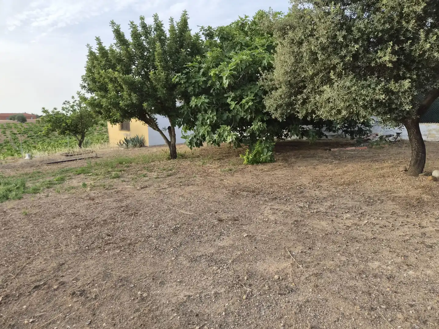 Casa o chalet en venta en Almendralejo con Aire acondicionado, Calefacción y Jardín privado