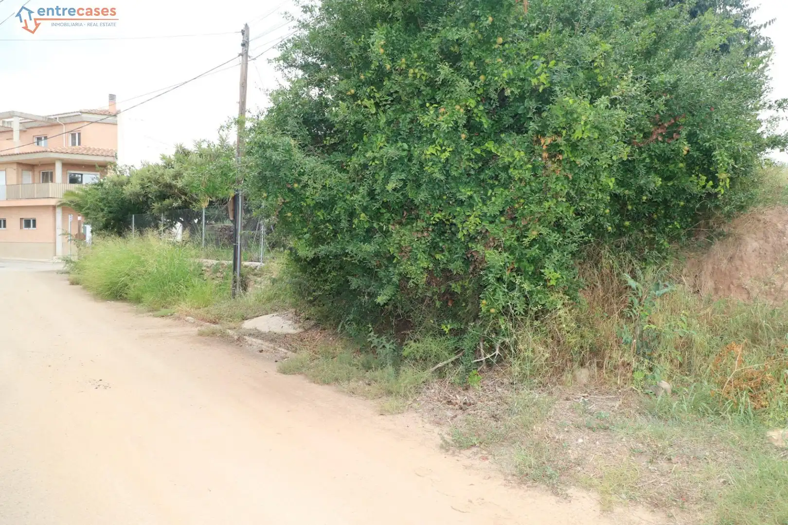 Terreny residencial en venda a Albalat dels Tarongers, imagen 4