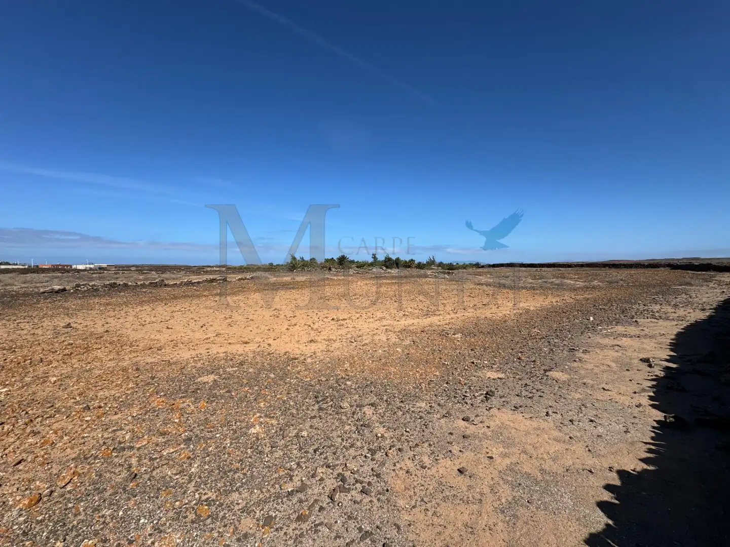 Land for sale in La Oliva
