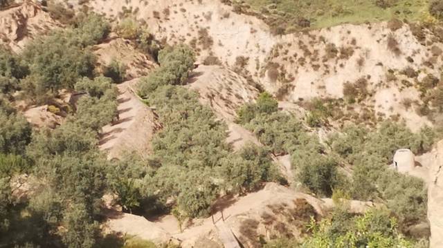 Finca rústica en Venta en El Valle