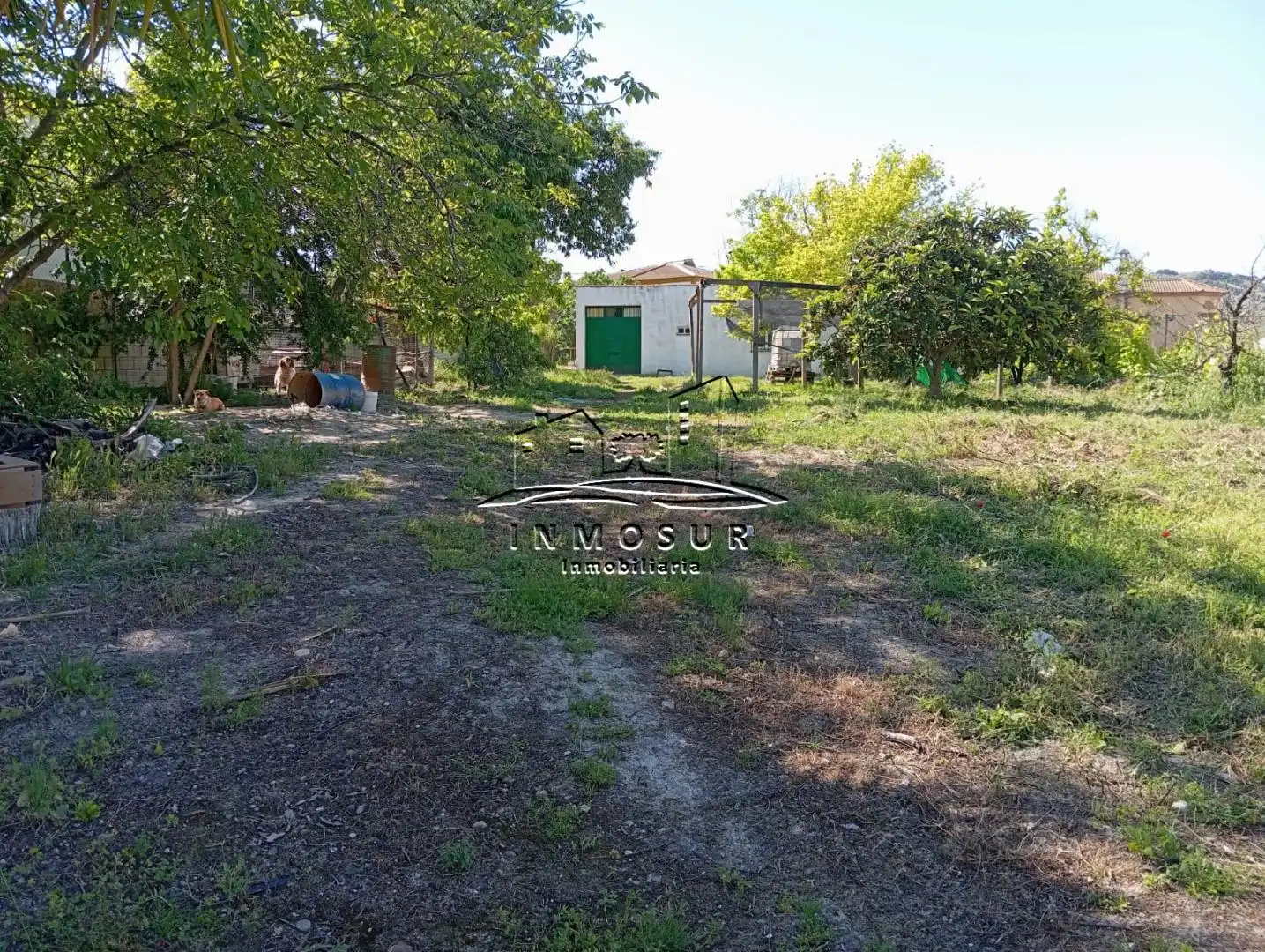 Terrain rustique à vendre à Centro, imagen 2