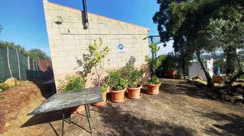 Foto 5 de Finca rústica en venda a El Pedroso, Sevilla