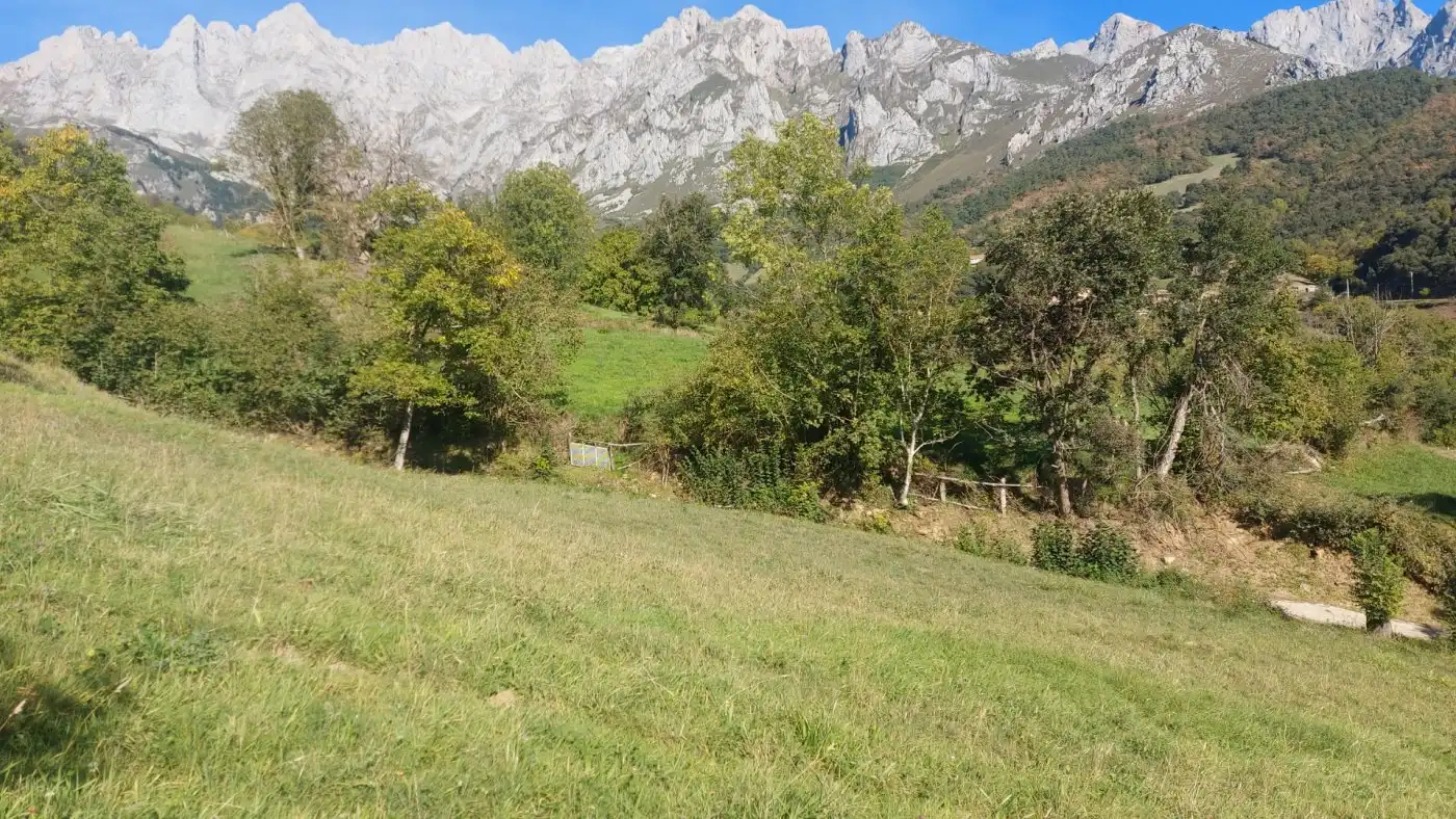 Terreno en venta en Camaleño
