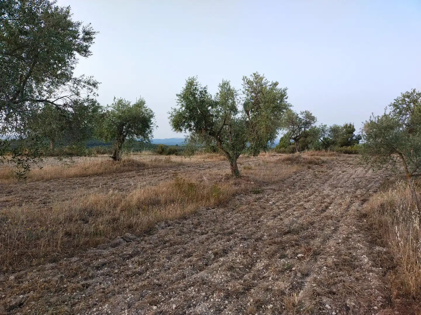Terreno rústico en venta en Cervià de Les Garrigues, imagen 2