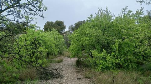 Foto 3 von Wohnung zum Verkauf in Urbanizaciones, Llíria