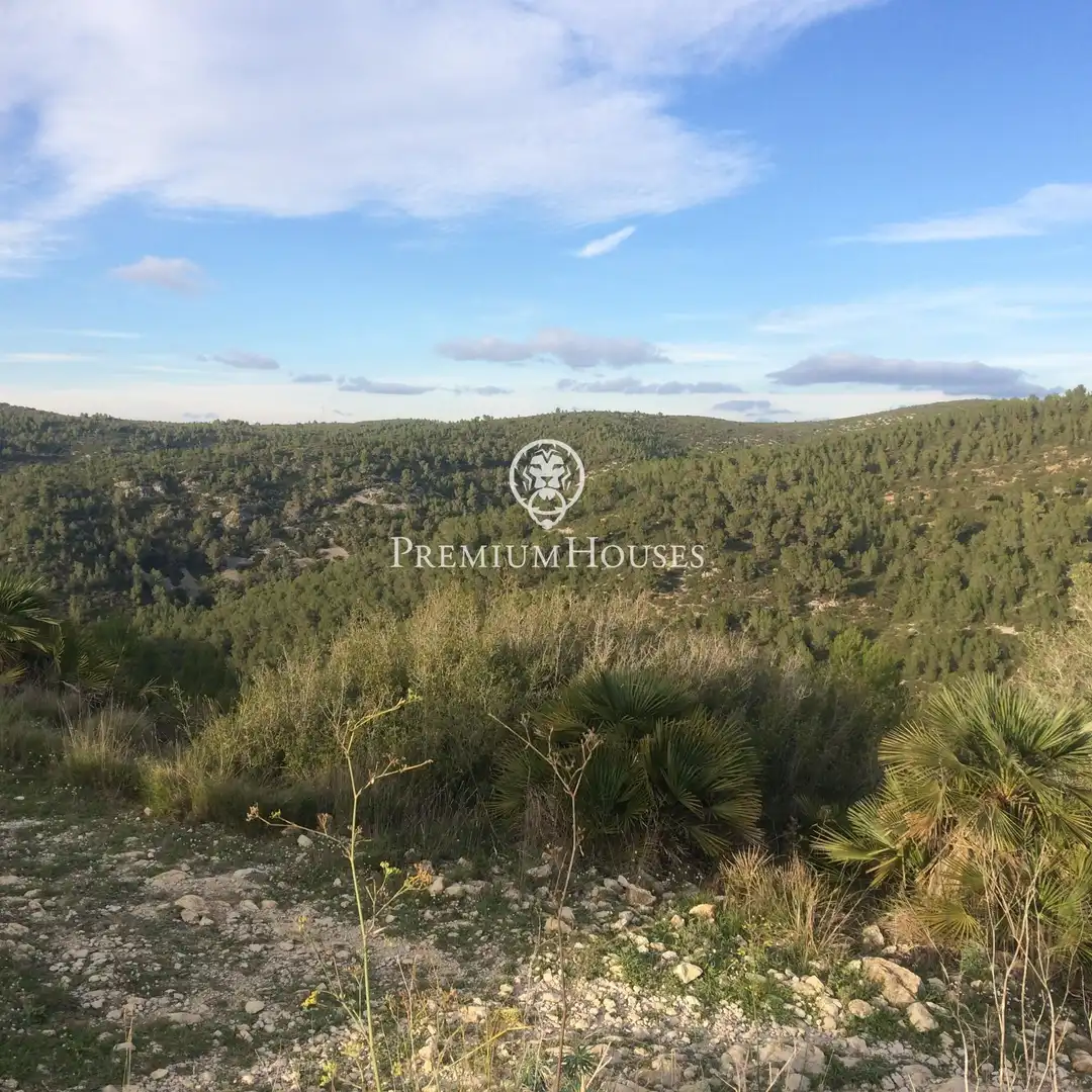 Casa rustica con terrazza in vendita a Castellet i la Gornal, imagen 8