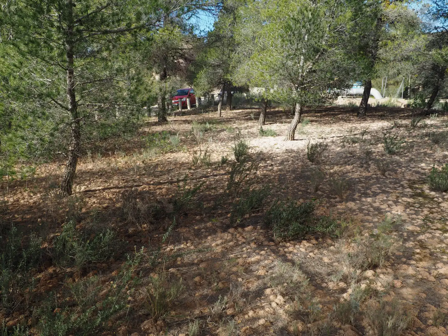 Terrain rustique à vendre à Avinguda Colònia 5, imagen 15