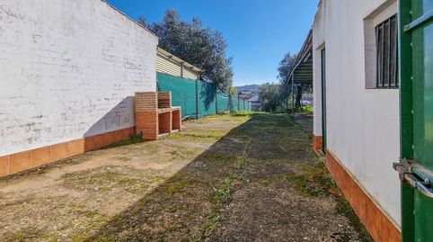 Foto 3 de Finca rústica en venta en Calle Jerez, Salvatierra de los Barros, Badajoz