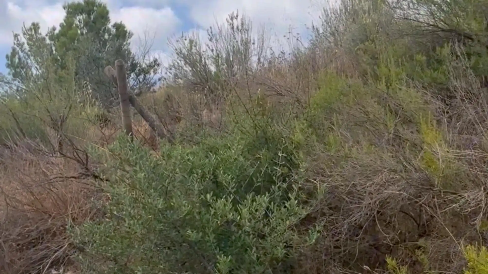 Country homes for sale in Lorca  with Private garden