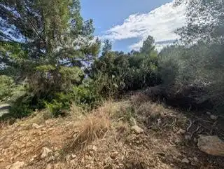 Terreno residencial en venta en Alberic, imagen 7