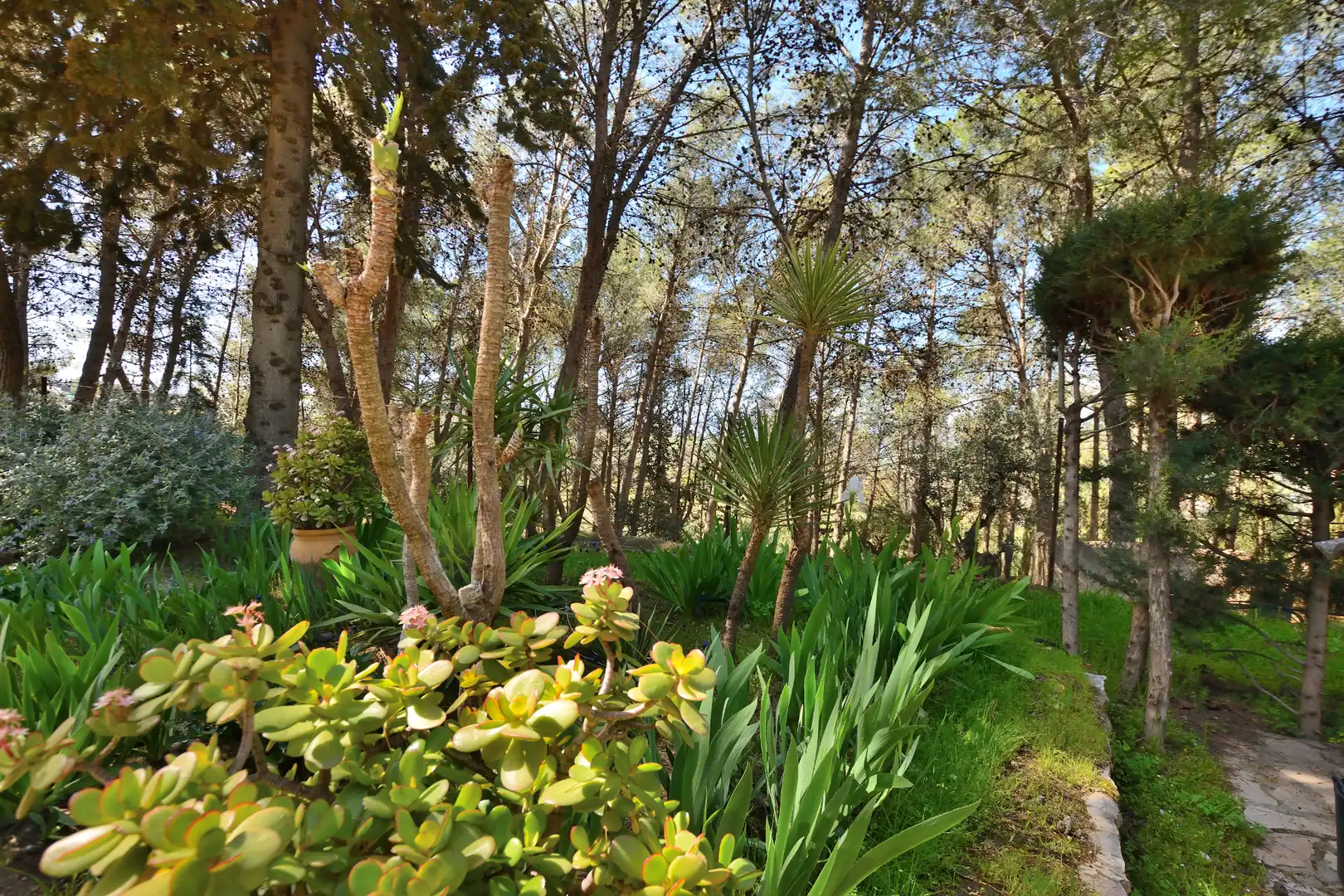 Finca rústica en venta en Partidas Norte