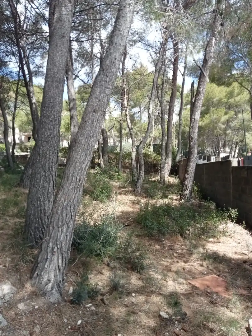 Rustikales Grundstück zum Verkauf in Avinguda de La Torre del Veguer 14, imagen 3