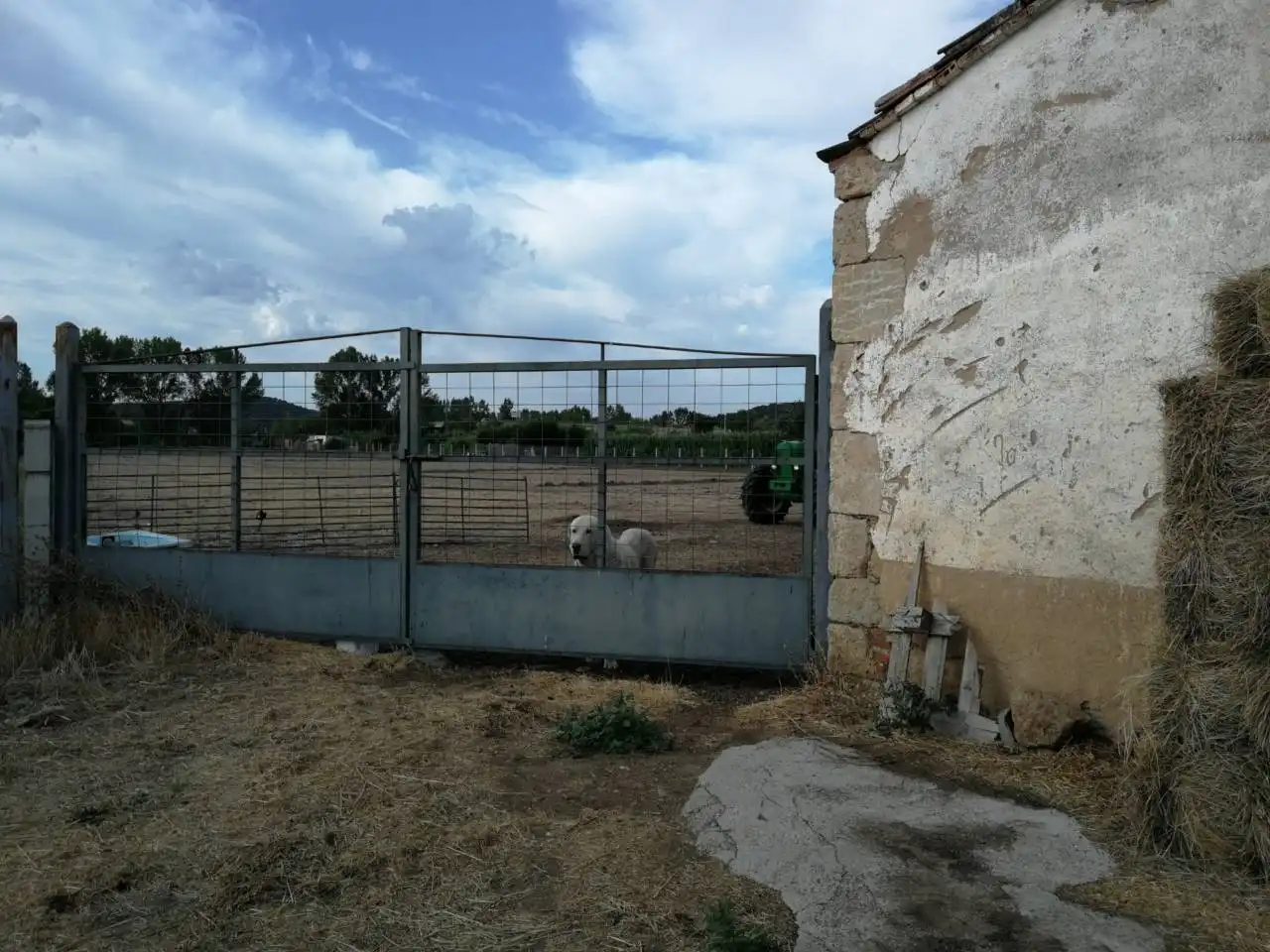 House for sale in Carretera CIUDAD RODRIGO, imagen 7