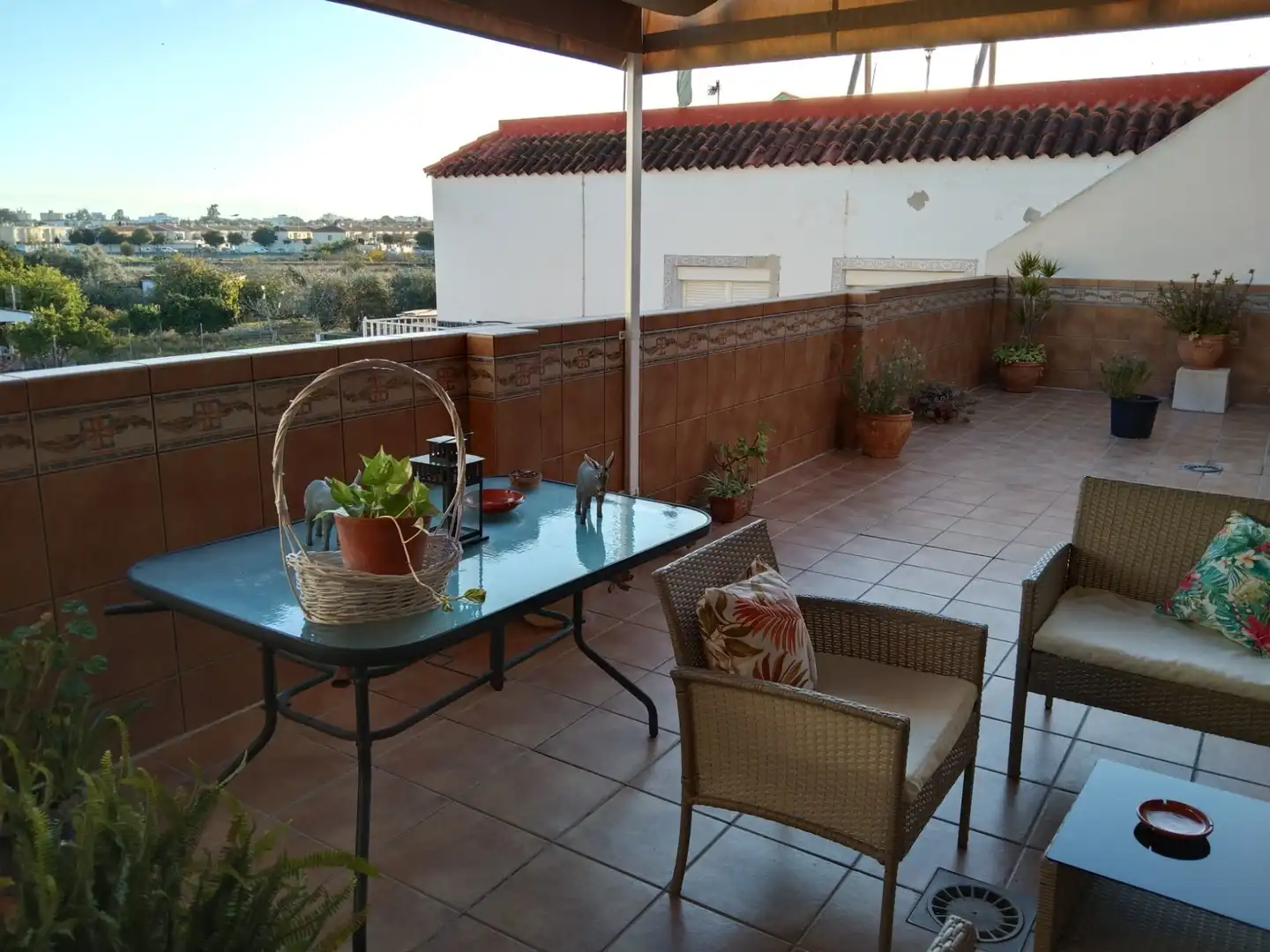 Houses for sale in Caballero Bonald - San José Obrero - Guadalcacín