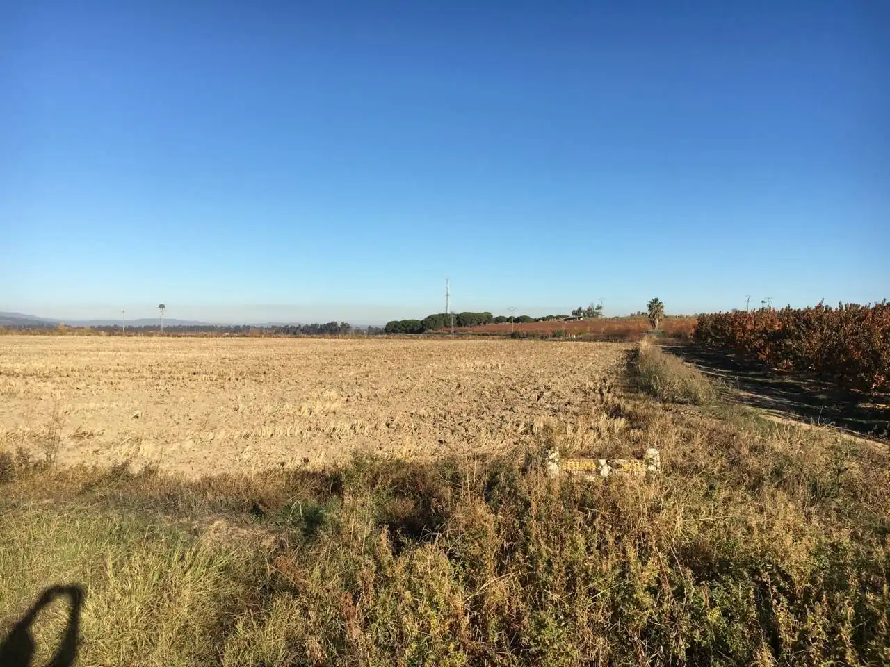 Terreni e lotti in vendita a Villanueva de la Serena, imagen 10