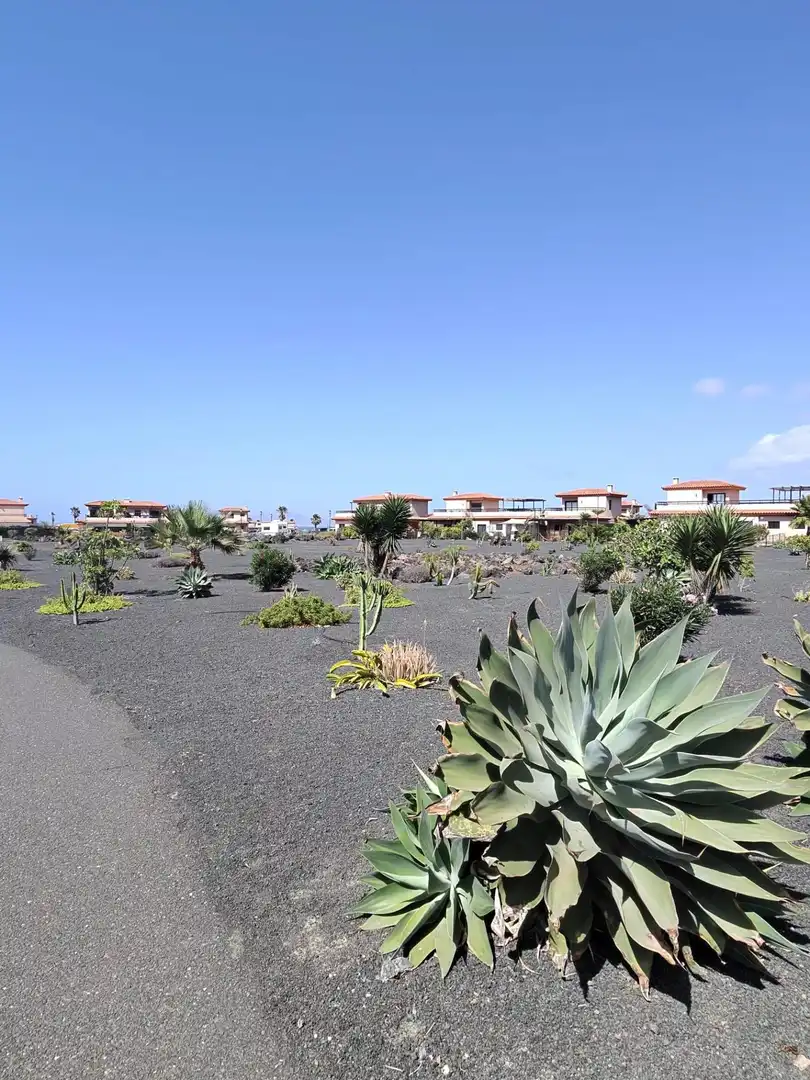Jardí de Casa adosada en venda en La Oliva amb Aire condicionat, Jardí privat i Terrassa