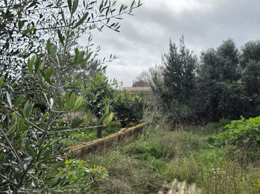 Terreny residencial en venda a Sant Llorenç des Cardassar