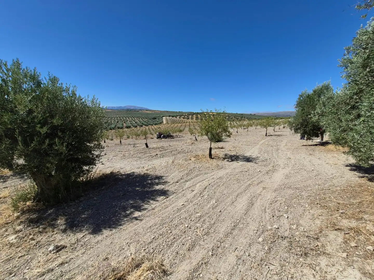 Terreny rústic en venda a Alhama de Granada, imagen 32