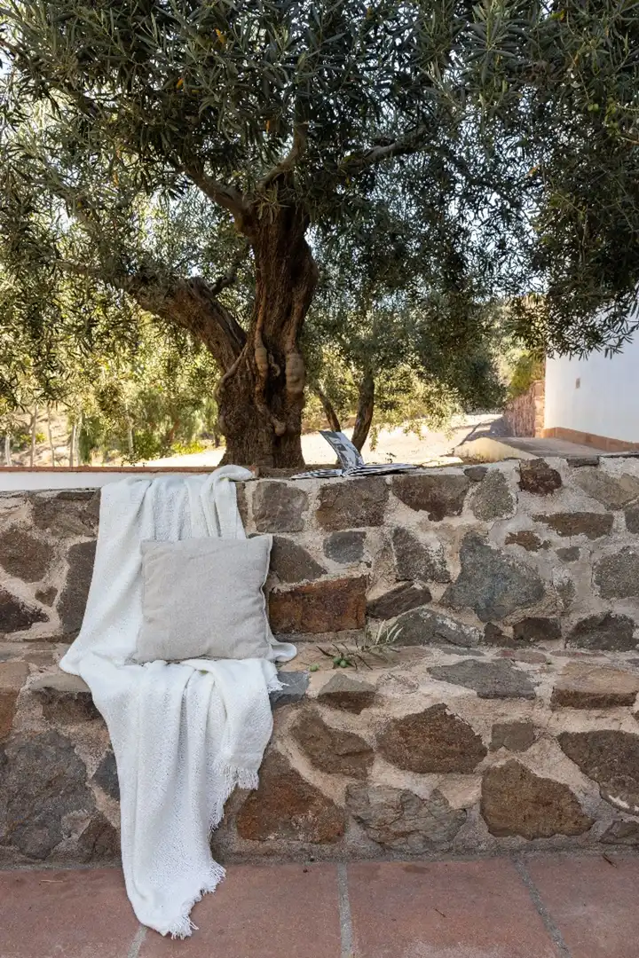 Terrassa de Finca rústica en venda en Málaga amb Terrassa