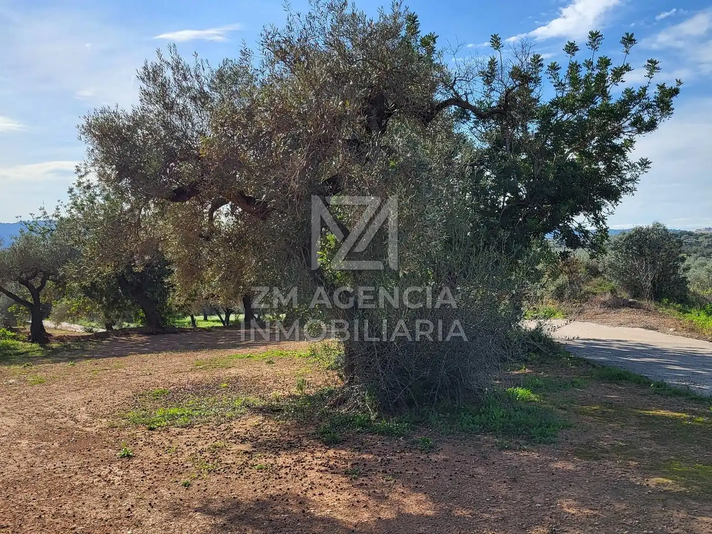 Terreno rustico in vendita a Traiguera, imagen 14