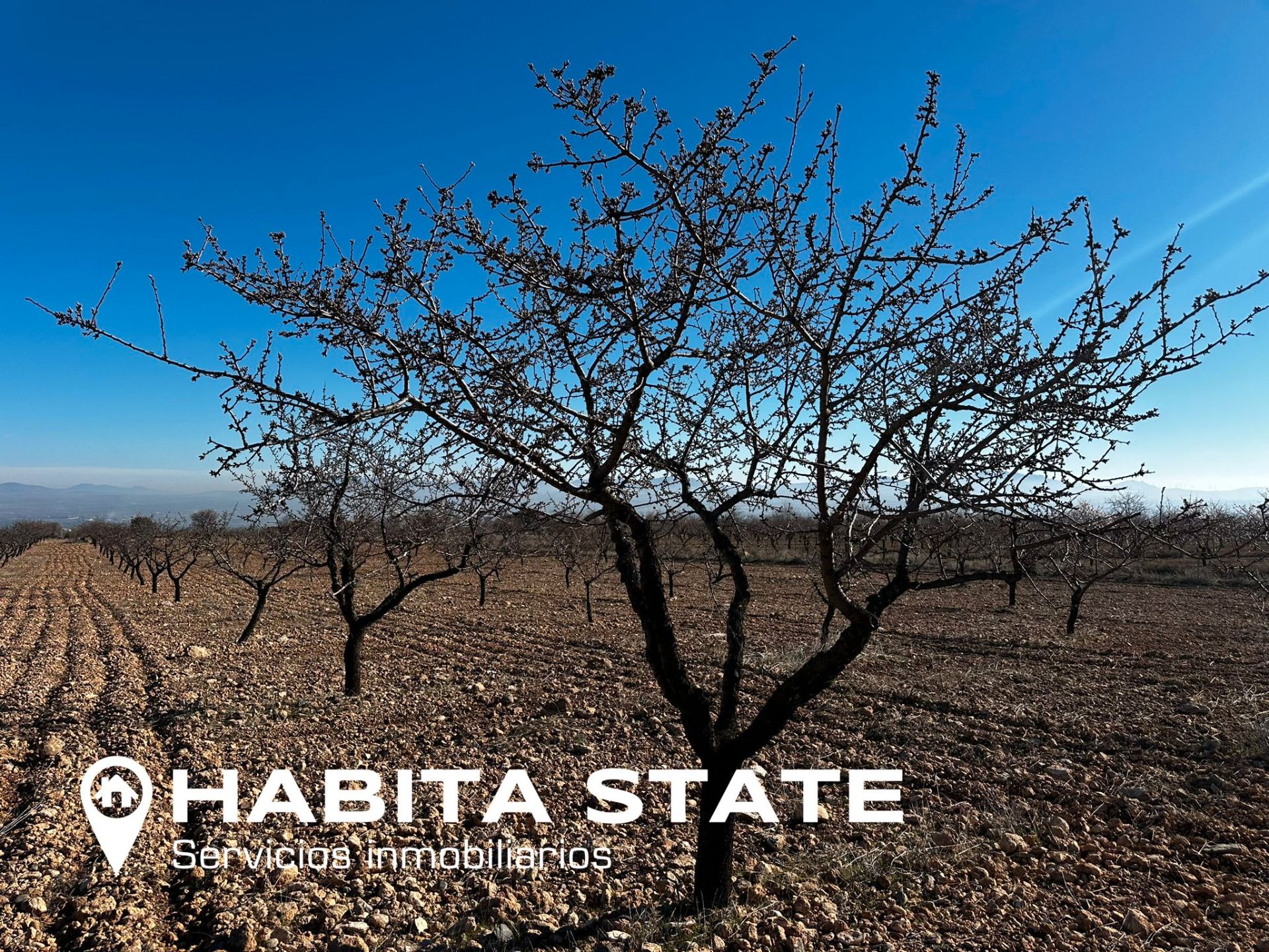 Exterior view of Land for sale in Baza