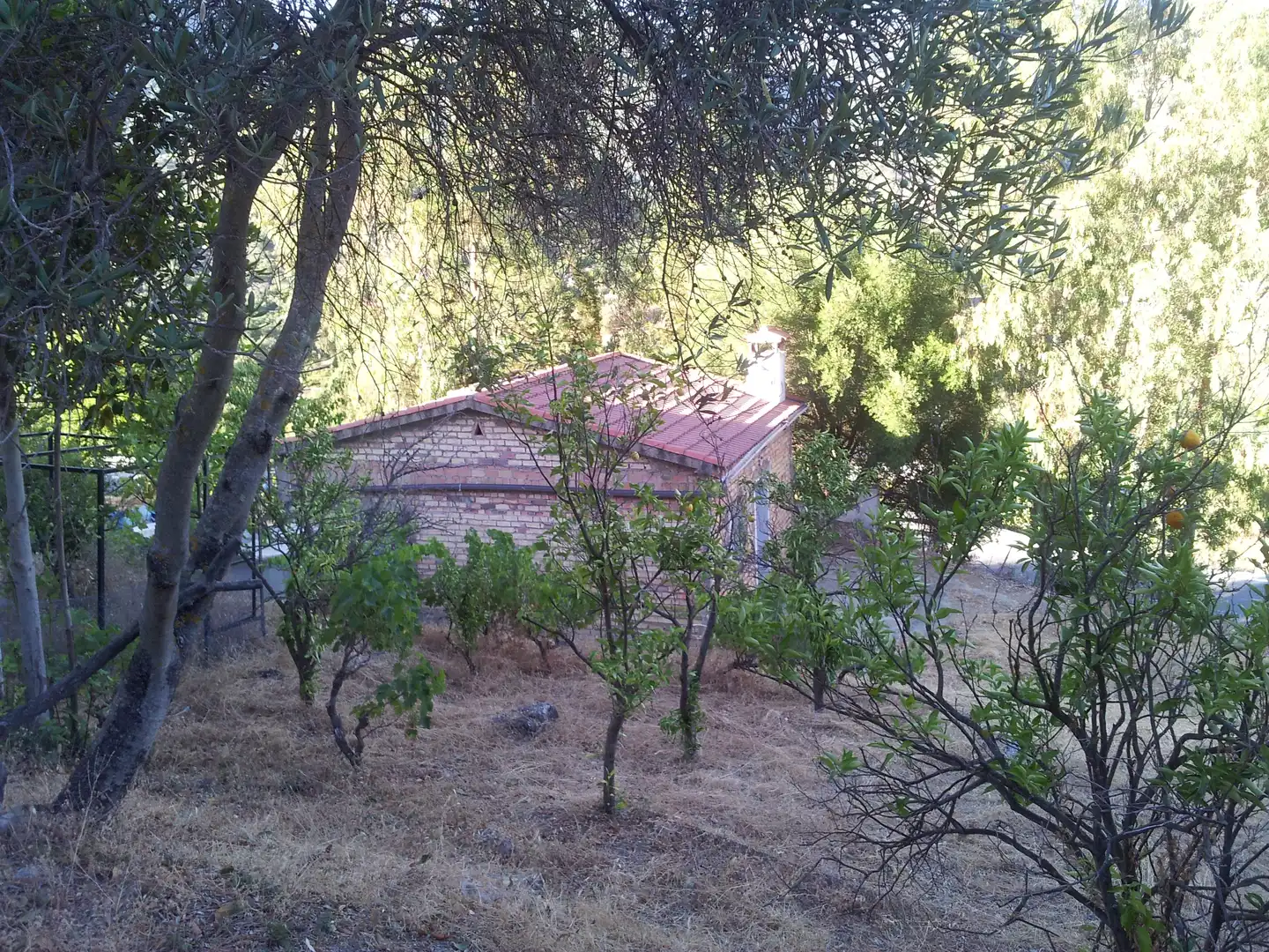 Finca rústica en venta en Ubrique