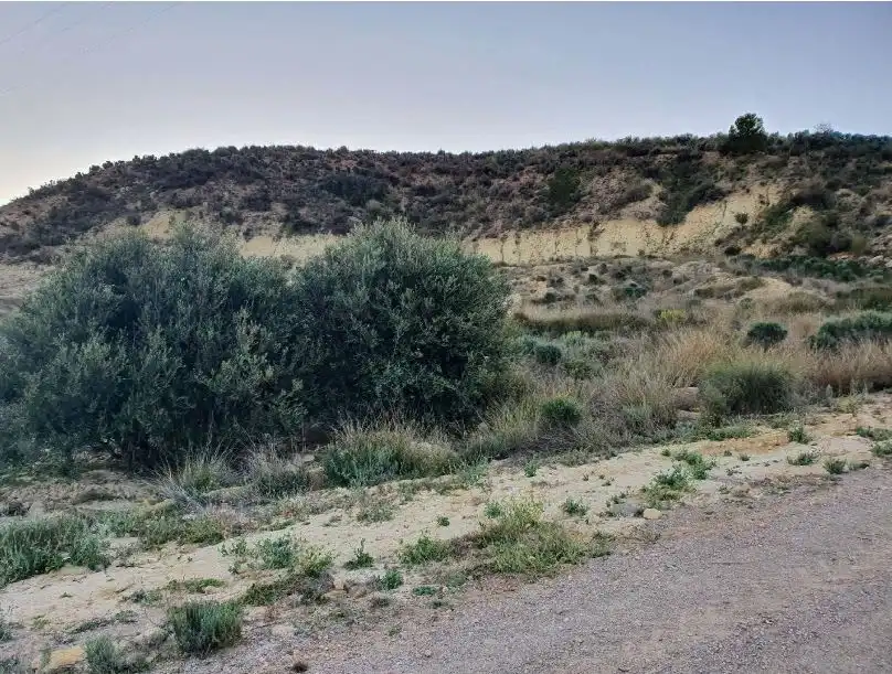 Grundstücke zum Verkauf in Paraje Culebrirna, Culebrina